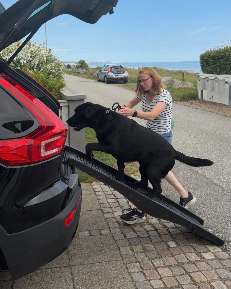 Dog Car Ramp
