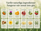 Lugnande Ansiktsbalm (Dag)