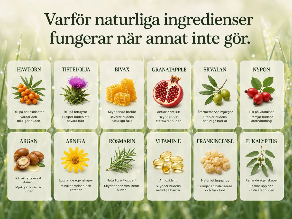 Lugnande Ansiktsbalm (Dag)